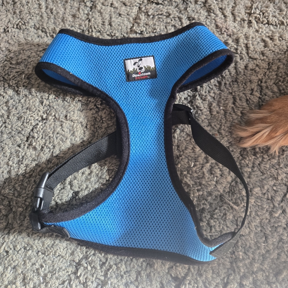 Blue Mesh Dog Harness